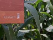 Monsanto, biotechnologisch bedrijf.