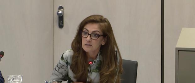 VVD-Tweede Kamerlid Dilan Yeşilgöz-Zegerius tijdens het Rondetafelgesprek over de kosten en baten van de Klimaatwet