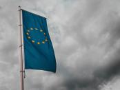 Tot 2021 past de EU vooral op de winkel Johannes vervloed opiniez