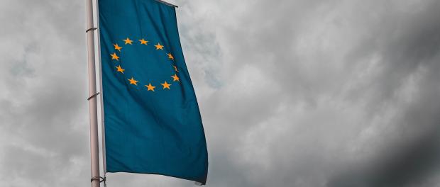 Tot 2021 past de EU vooral op de winkel Johannes vervloed opiniez