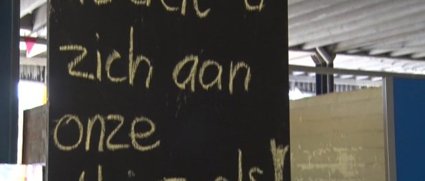 Titelfoto bij artikel Samirrha Tarras op OpinieZ.com “Zwembadterreur: de kansenparels slaan toe”