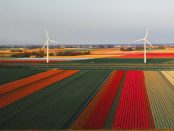 Titelfoto bij artikel Rutger van den Noort op OpinieZ.com