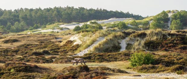 Titelfoto bij artikel Freek van Beetz op OpinieZ.com “De collectieve gekte van het stikstofbeleid”