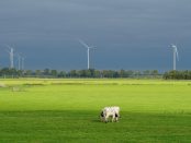 Titelfoto bij artikel Gert-Jaap van Ulzen voor OpinieZ.com “ Stikstof heeft een E-nummer en is geen broeikasgas”