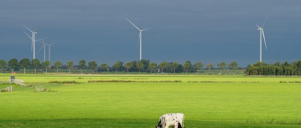 Titelfoto bij artikel Gert-Jaap van Ulzen voor OpinieZ.com “ Stikstof heeft een E-nummer en is geen broeikasgas”