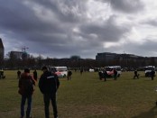 Anti-corona demonstratie Malieveld politiegeweld Den Haag