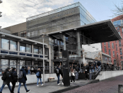 Studenten groepsdwang depressie politiek-correct gert reedijk opiniez