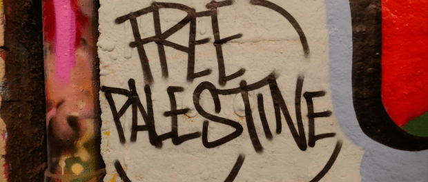 Titelfoto bij artikel "Free Palestine" brengt niemand vrijheid Alma van Hees opiniez