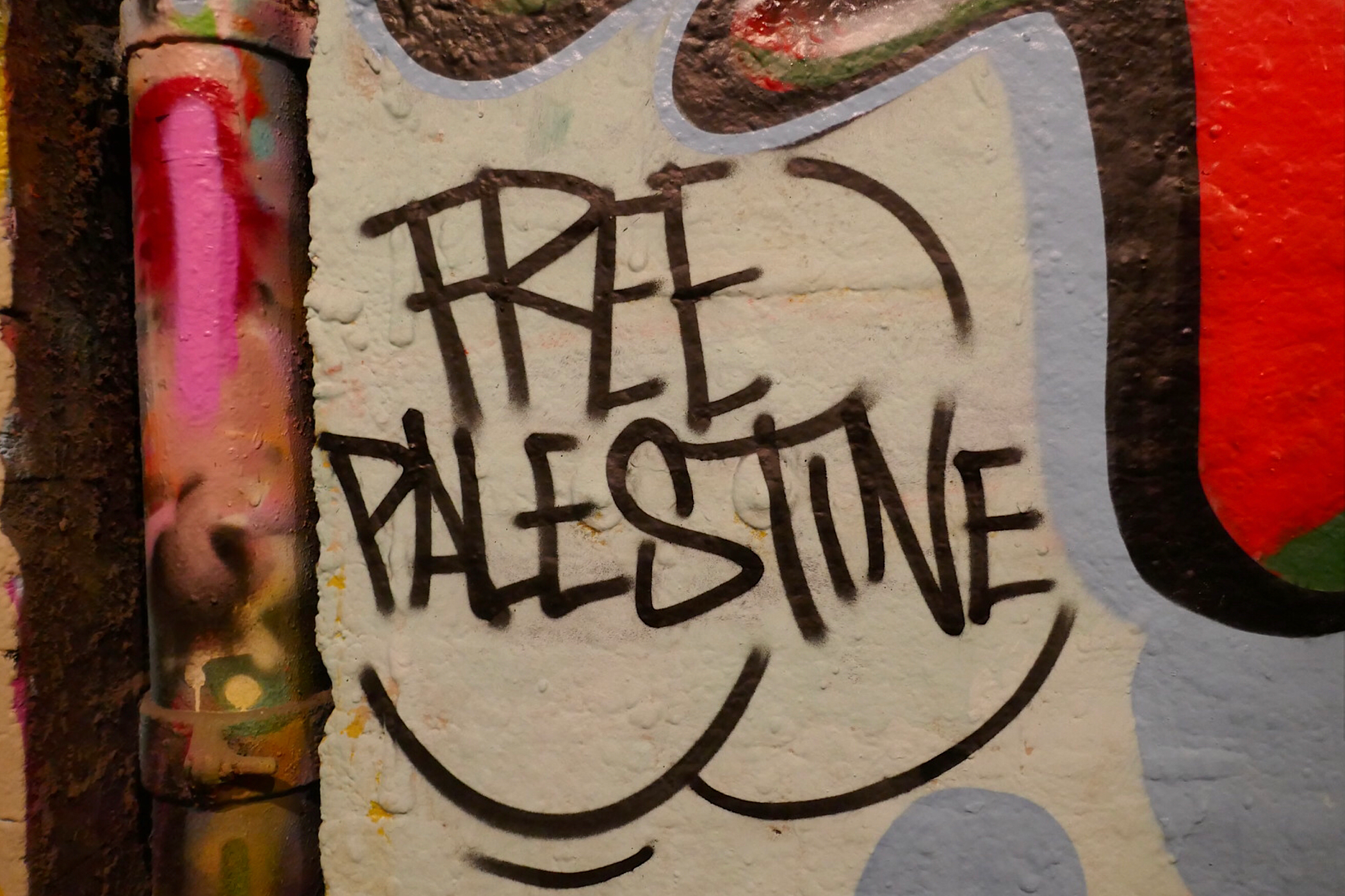 Titelfoto bij artikel "Free Palestine" brengt niemand vrijheid Alma van Hees opiniez