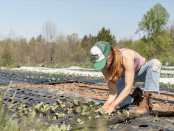 Titelfoto bij artikel Biologische Great Reset bedreigt de landbouw Alma van hees opiniez