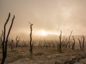 Titelfoto artikel Klimaatgedram bij de NPO wordt steeds erger freek van beetz opiniez