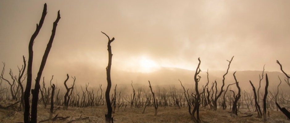Titelfoto artikel Klimaatgedram bij de NPO wordt steeds erger freek van beetz opiniez