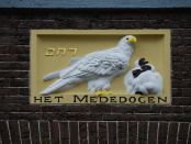 Titelfoto bij artikel Compassie en de overheid: een ongelukkig huwelijk Alma van hees opiniez