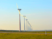 Titelfoto bij artikel Windparken barstensvol giftig microplastic: stop ermee! Ines van bokhoven opiniez