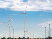 Titelfoto bij artikel Huidige klimaatbeleid betekent economische zelfmoord Ferdinand Meeus Opiniez