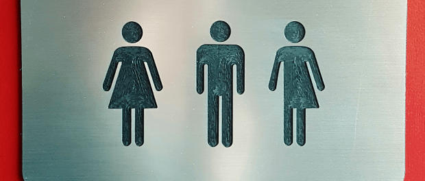 Titelfoto bij artikel Achter de schermen van de transgenderlobby Alma van hees opiniez