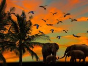Titelfoto bij artikel 'Fatsoenlijke' Twitteraars vluchten naar safe space Mastodon Maaike van charante opiniez
