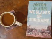 Titelfoto bij artikel “ Het slavernij-excuus waar (bijna) niemand op zit te wachten” jan gajentaan opiniez
