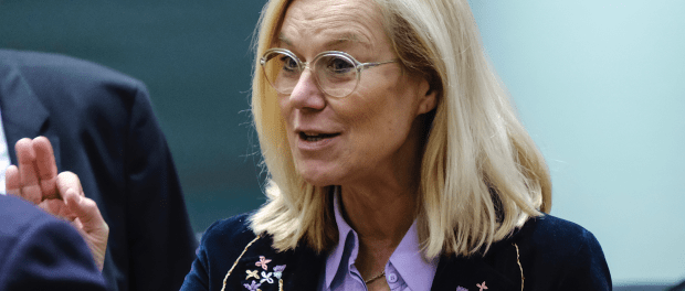 Titelfoto bij artikel Schaamteloze PR-campagne van de NPO voor Sigrid Kaag Jan gajentaan opiniez