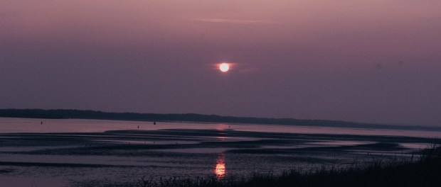 Titelfoto bij artikel We hebben een laf kabinet dat geen enkel probleem durft op te lossen Rutger van den noort opiniez