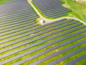 Titelfoto bij artikel Net Zero Klimaatbeleid ruïneert onze samenleving Alma van hees opiniez
