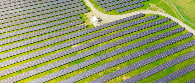 Titelfoto bij artikel Net Zero Klimaatbeleid ruïneert onze samenleving Alma van hees opiniez