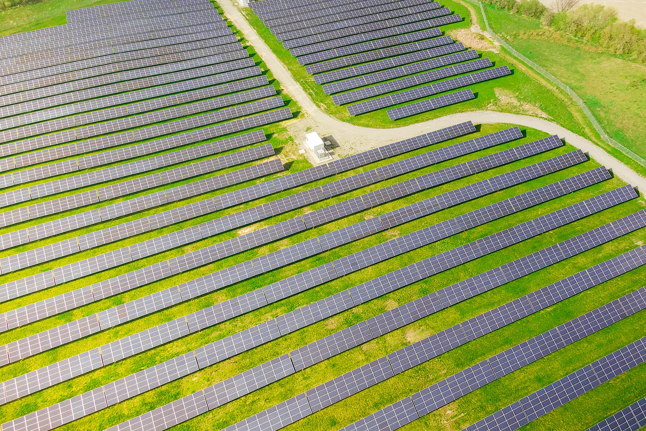 Titelfoto bij artikel Net Zero Klimaatbeleid ruïneert onze samenleving Alma van hees opiniez
