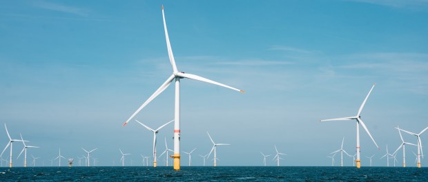 Titelfoto artikel Windmolenpark op de Noordzee: een ramp in wording Ines van bokhoven opiniez