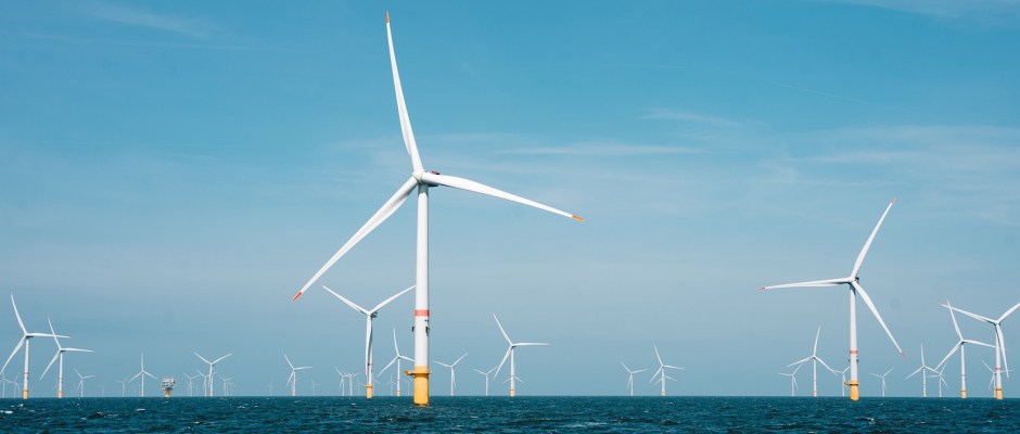 Titelfoto artikel Windmolenpark op de Noordzee: een ramp in wording Ines van bokhoven opiniez