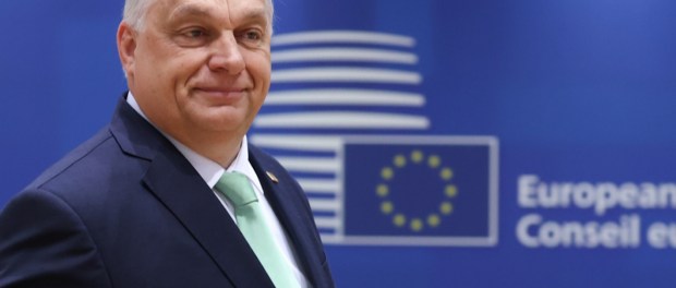 Titelfoto bij artikel Lidstaten EU verliezen steeds meer soevereiniteit Johannes vervloed Opiniez