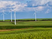 Titelfoto bij artikel Energiebeleid Rutte IV was fysisch, technisch, economisch en moreel onverantwoord Guus berkhout opiniez