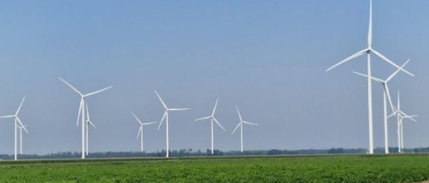 Titelfoto bij artikel Wonen in een hel vanwege Windpark N33 Ines van bokhoven opiniez