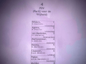 Titelfoto bij artikel Geef de PVV een eerlijke kans Maaike van charante opiniez