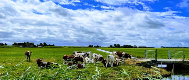 Titelfoto bij artikel De hardnekkige heksenjacht op de boeren Bart jan oplaat opiniez