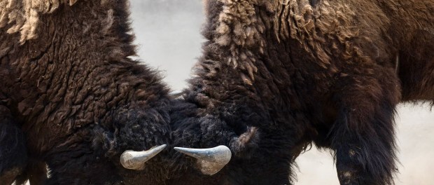 Titelfoto bij artikel De samenleving depolariseren, zó doe je dat Hans van tellingen opiniez