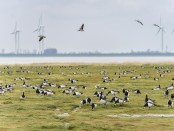 Titelfoto bij artikel Het eerlijke verhaal over klimaatverandering Kees de lange guus berkhout opiniez
