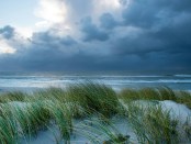 Titelfoto bij artikel Het eerlijke verhaal over klimaatverandering 2 Kees de lange guus berkhout opiniez