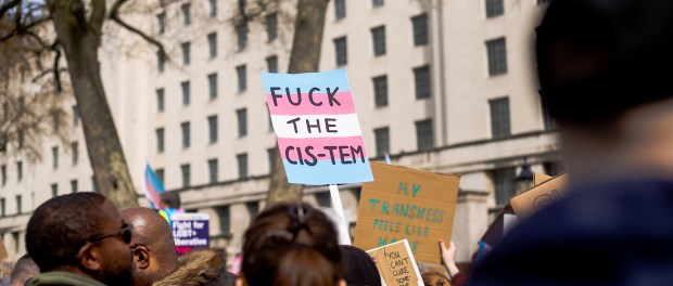 Titelfoto bij artikel De grensoverschrijdende intimidatie door transactivisten Maaike van charante opiniez