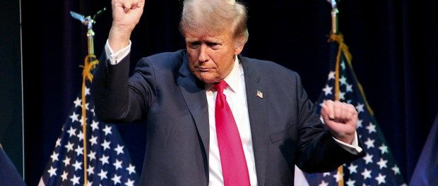Titelfoto bij artikel De politieke agenda van Trump 2.0 Johannes vervloed opiniez