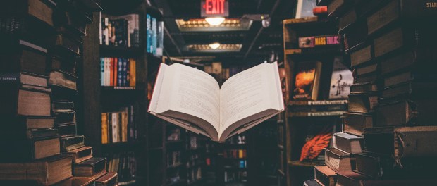 Titelfoto bij artikel Nog even over die verhoogde boeken-btw ines van bokhoven opiniez