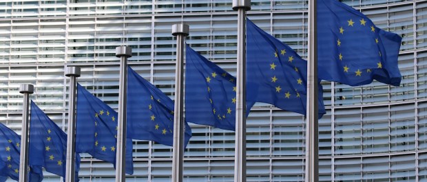 Titelfoto bij artikel Ga stemmen! Fluit de EU-regenten terug Maaike van charante opiniez