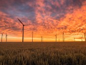 Titelfoto bij artikel Smeekbede aan het nieuwe kabinet: stop met windenergie! Ines van bokhoven opiniez