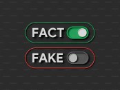 Titelfoto bij artikel Factcheckers: de wereldwijde WC-Eend BV Raymond peil opiniez