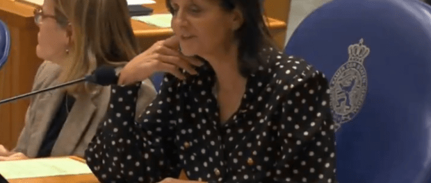 Titelfoto bij artikel De nieuwste linkse trend: gezever over woorden Ines van bokhoven opiniez