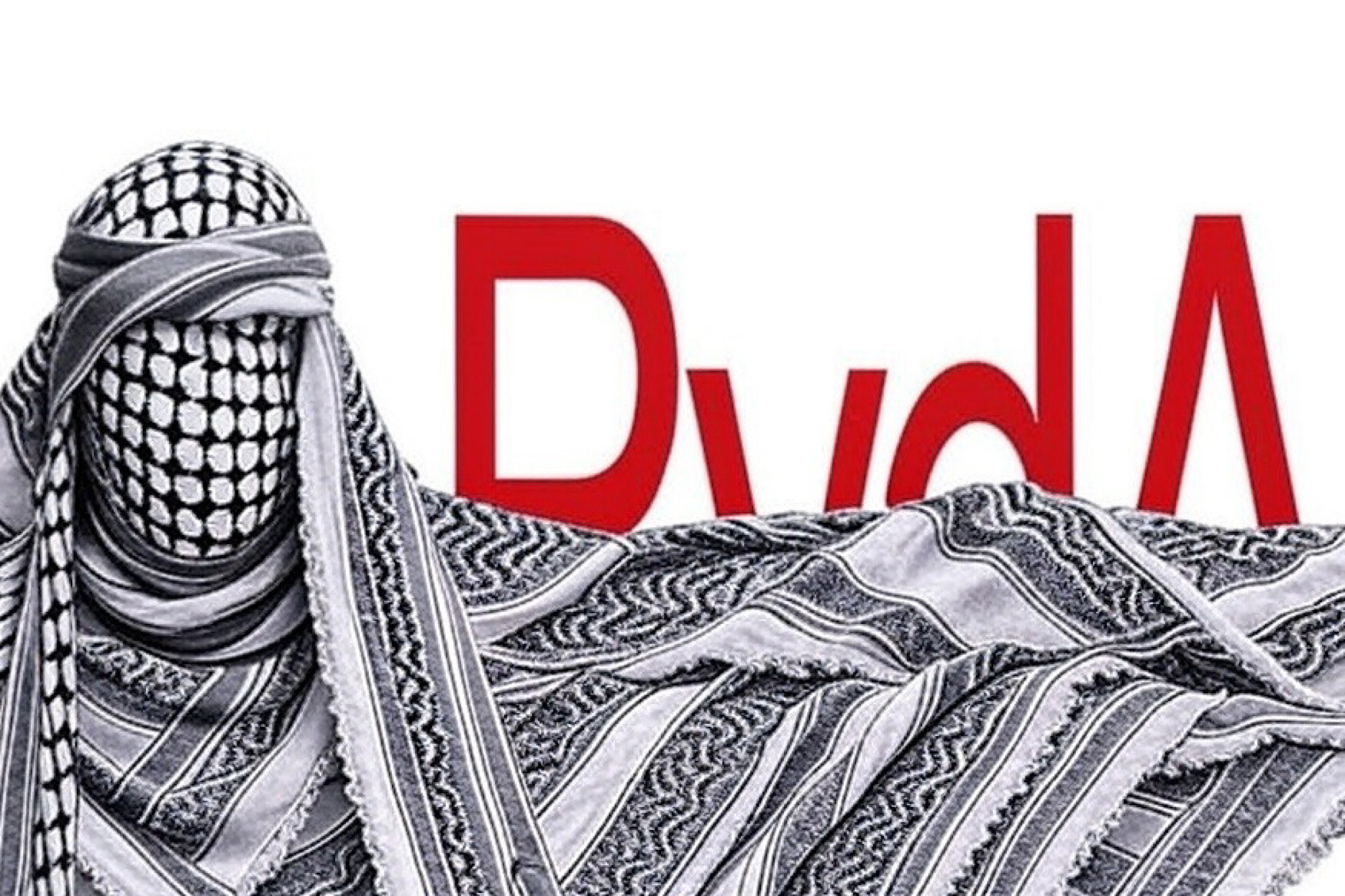 Titelfoto bij artikel De razendsnelle ondergang van de PvdA Maaike van charante opiniez