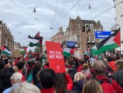 Titelfoto bij artikel De hersenloze meelopers van de Rode Lijn Marcia van gelderen opiniez