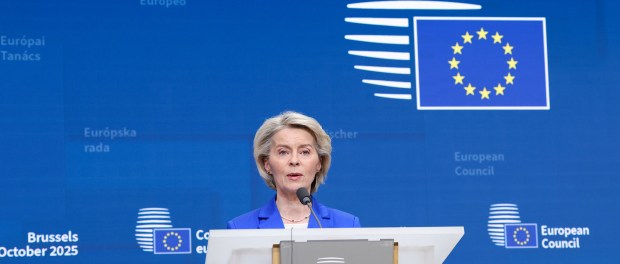 titelfoto bij artikel Blokkade Russische tegoeden door EU is rampsscenario johannes vervloed opiniez