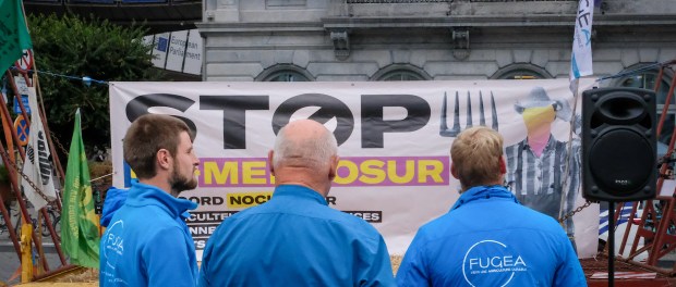 Titelfoto bij artikel Massale protesten Europese boeren tegen verstikkend landbouwbeleid Alma van hees opiniez